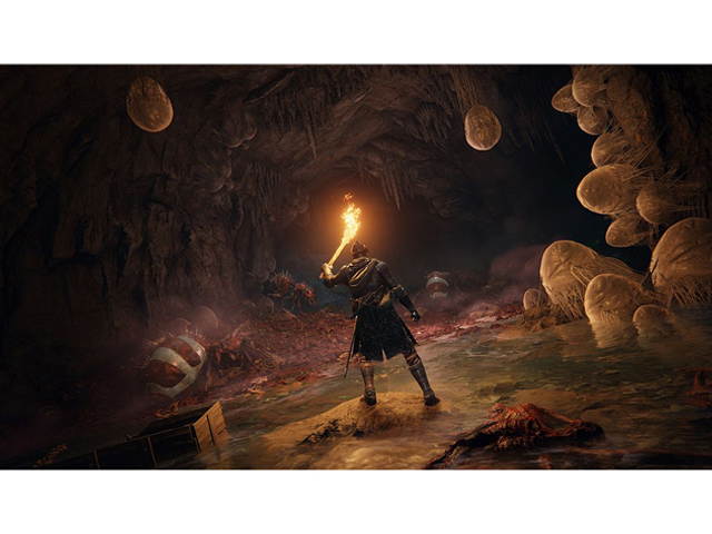 Elden Ring - PlayStation 5