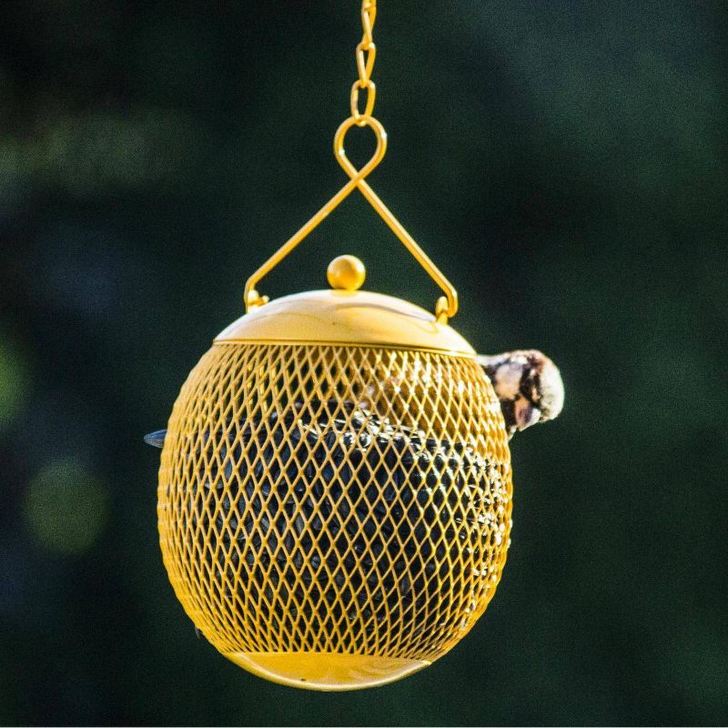 3pk Hanging Bird Feeder Set - Backyard Expressions