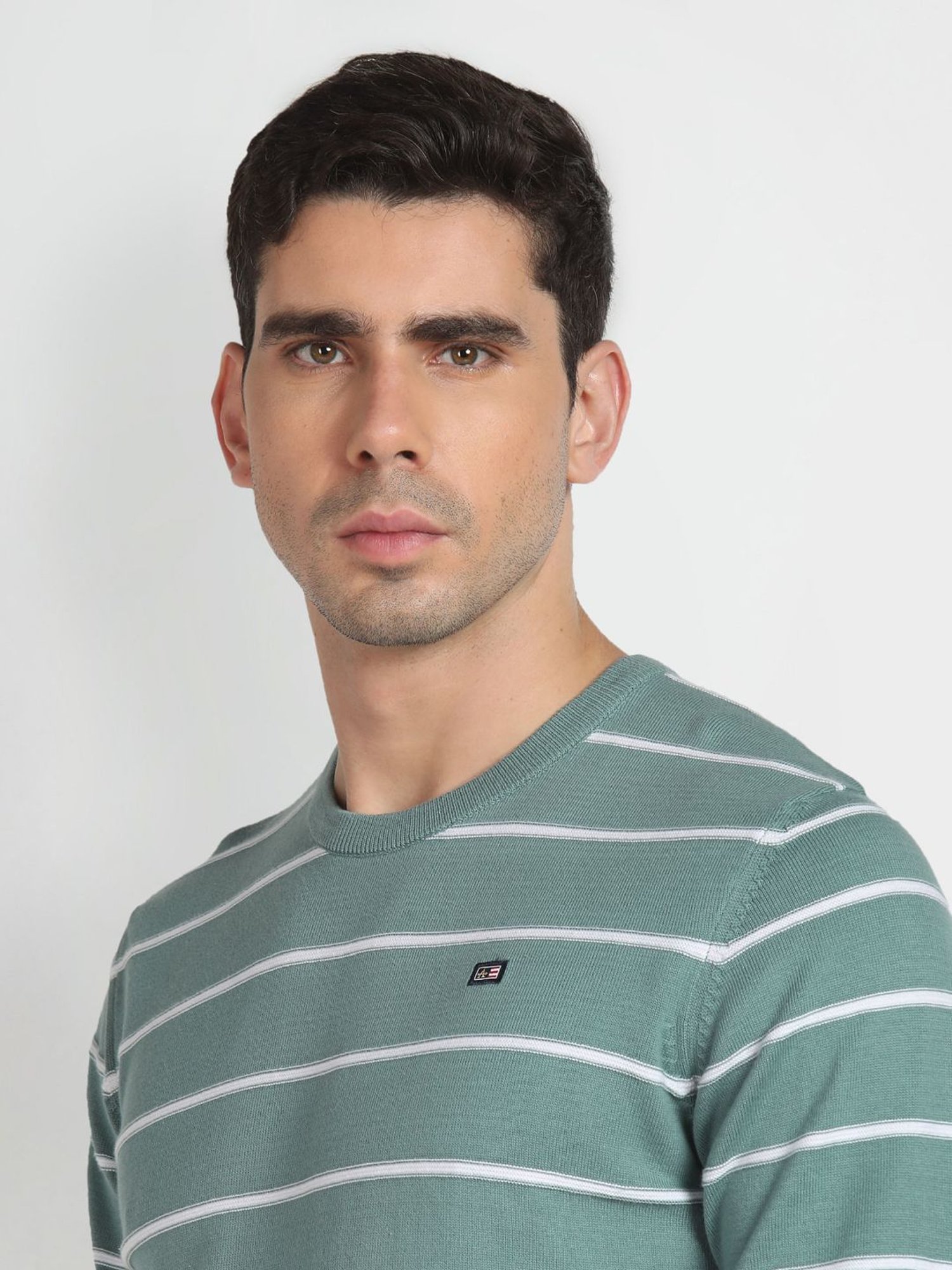 Arrow Sport Sage Cotton Regular Fit Striped Sweater