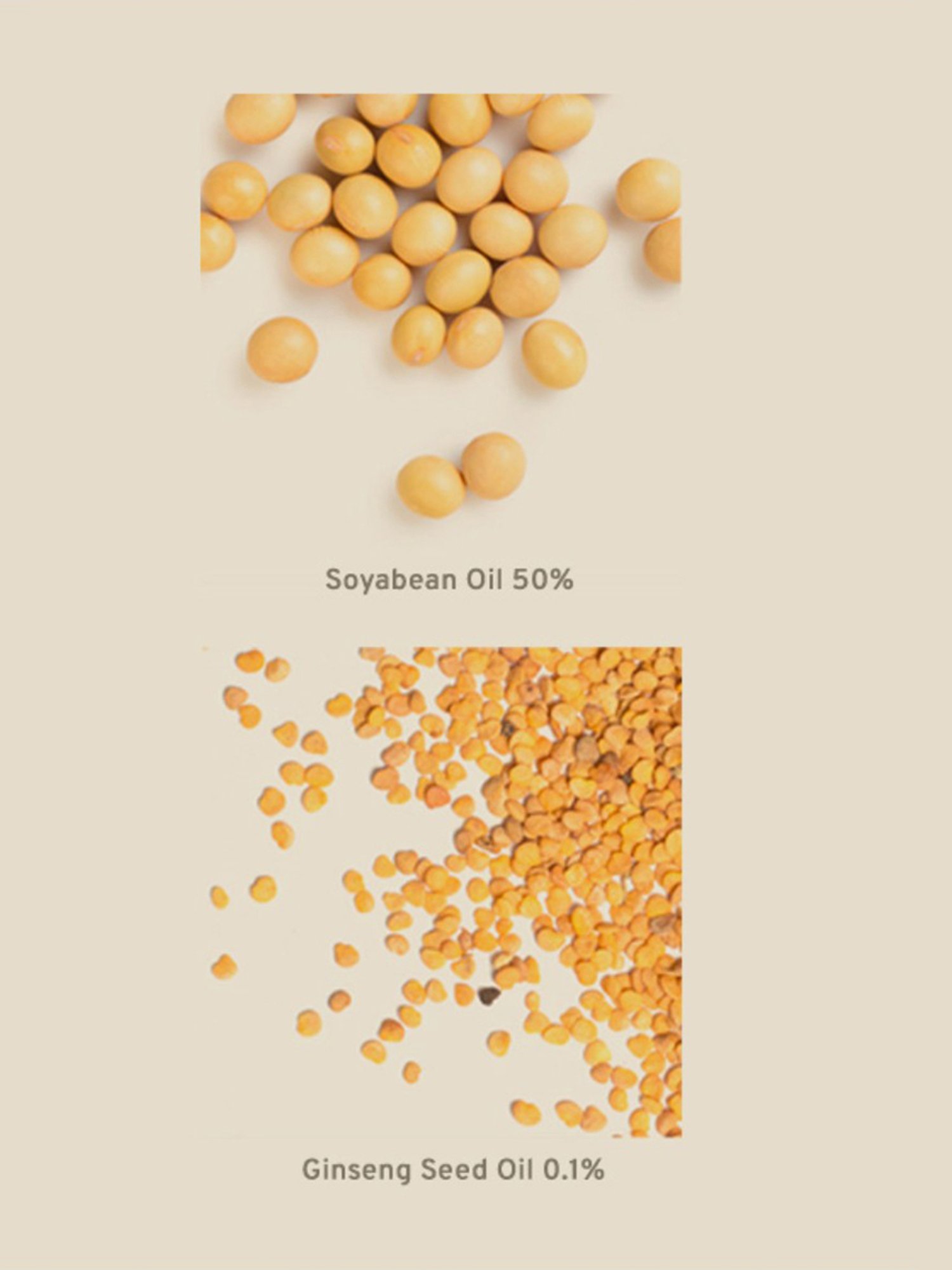 Lotus Herbals Illuminating Radiance Cleansing Foam - 100 gm