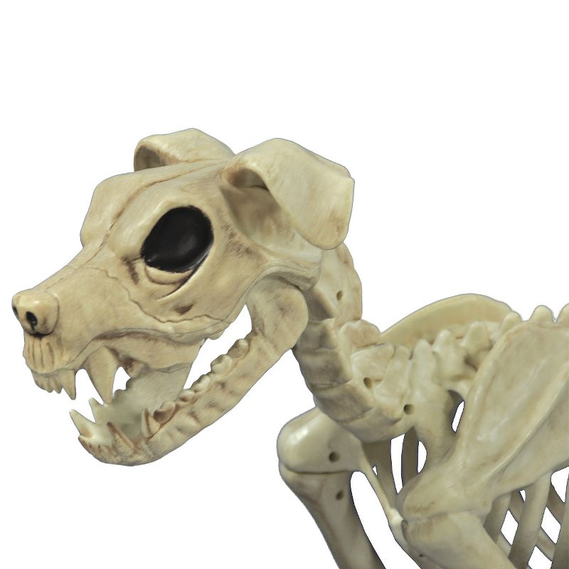 Halloween Buster Bonez Decorative Holiday Scene Prop