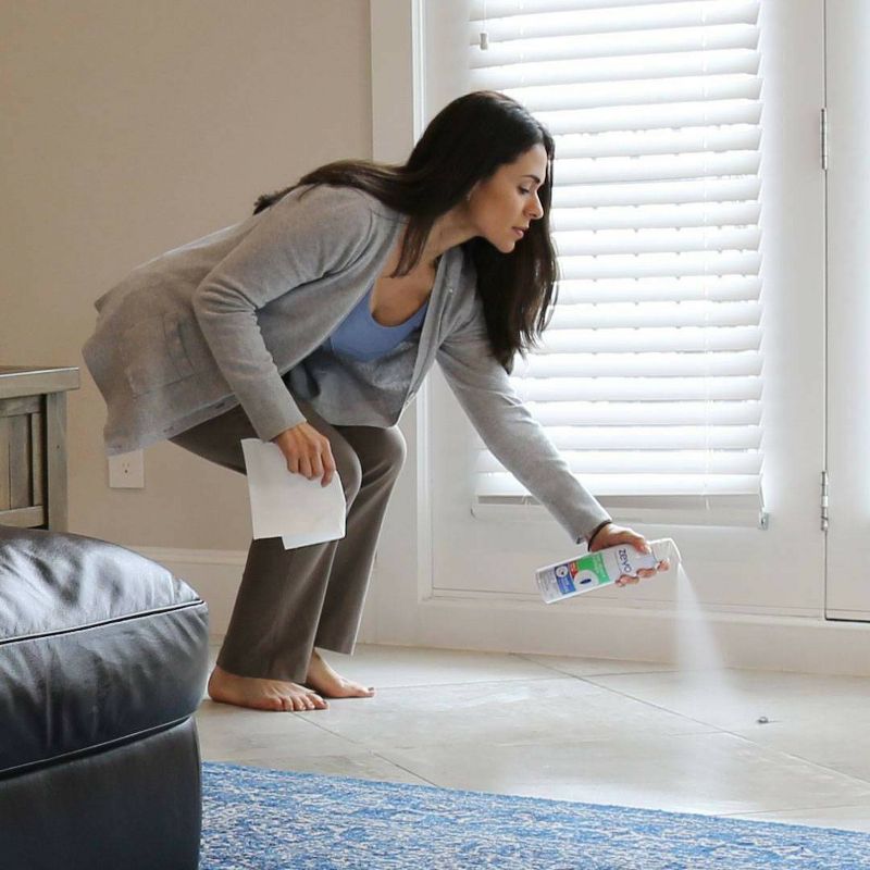 Zevo Ant Roach and Spider Crawling Insect Spray - 10oz