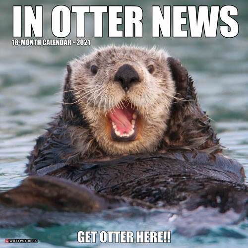 2021 In Otter News Wall