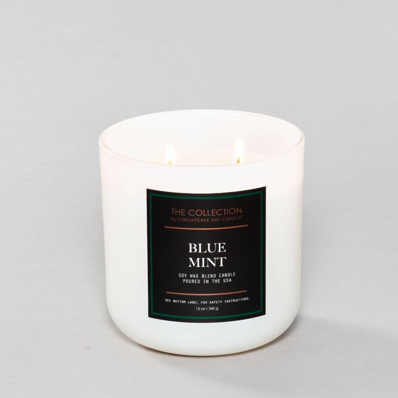 12oz Core Jar 2-Wick Candle Blue Mint - Chesapeake Bay Candle