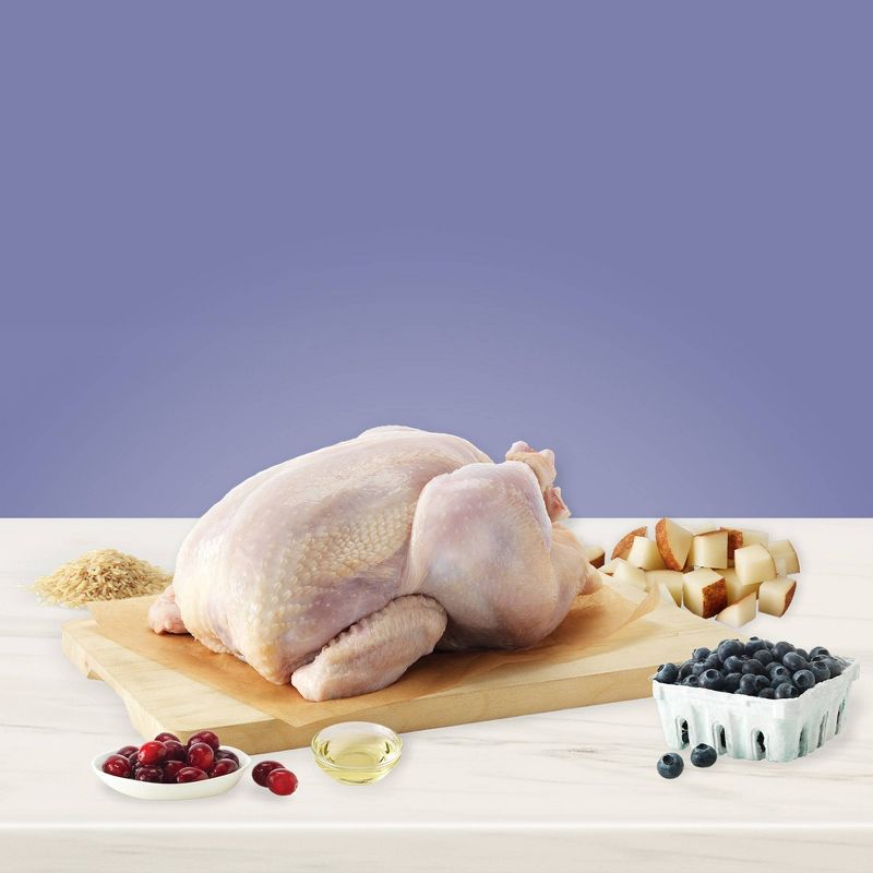 Blue Buffalo True Solutions Jolly Joints Mobility Support Adult Dry Dog Food - 20lbs