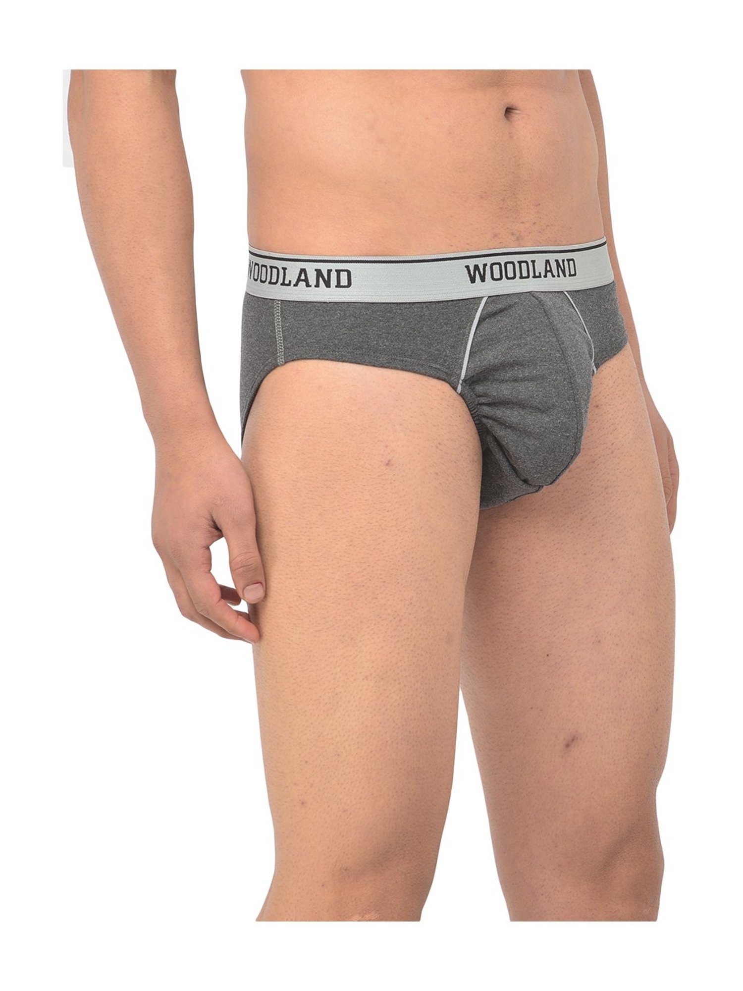 Woodland Dark Grey Solid Briefs