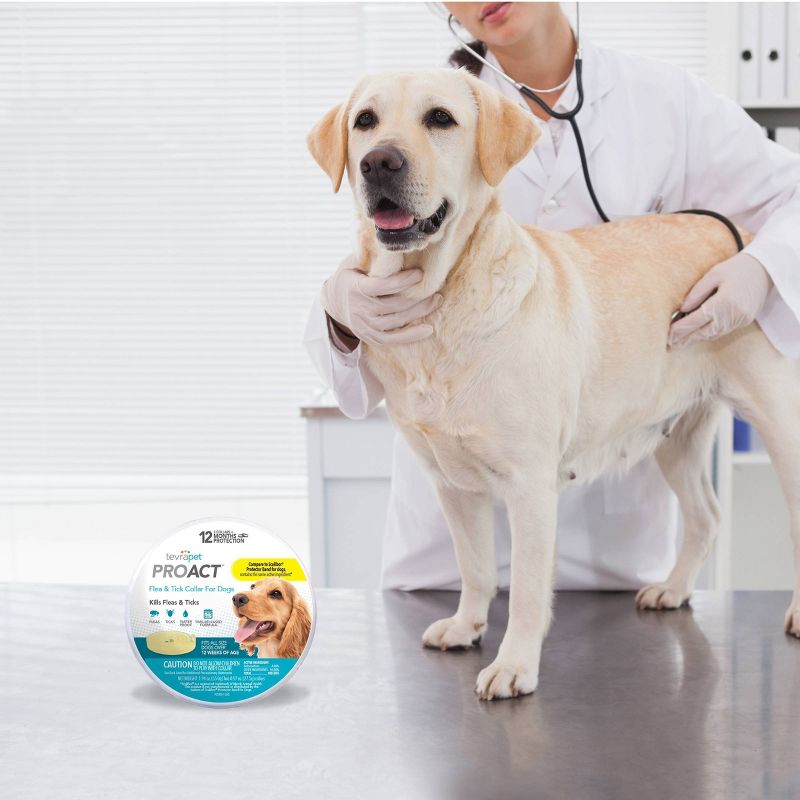 Tevra Pet ProAct Flea & Tick Collar Dog Insect Treatment - 12 Months