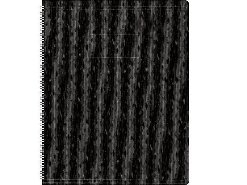 Blueline EcoLogix Professional Notebook, 7.13 x A9SE.BLK