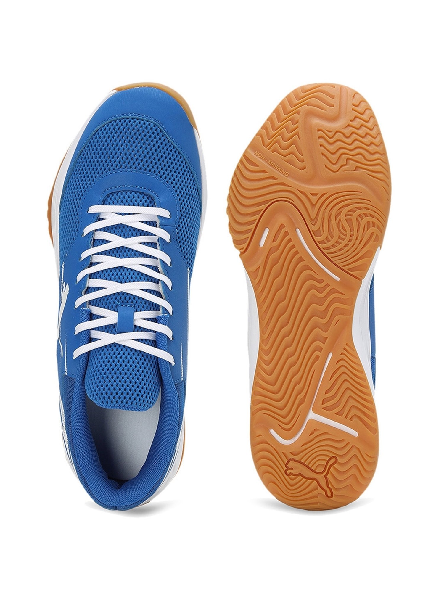 Puma Men's Varion II Blue Indoor Court Shoes