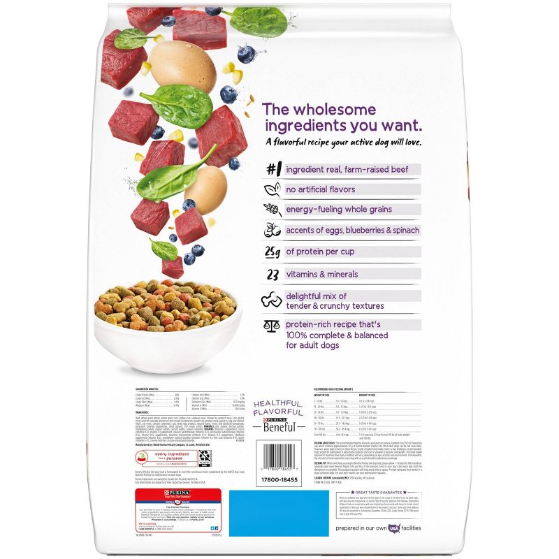 Purina Beneful Playful Life with Real Beef Adult Dry Dog Food - 14lbs