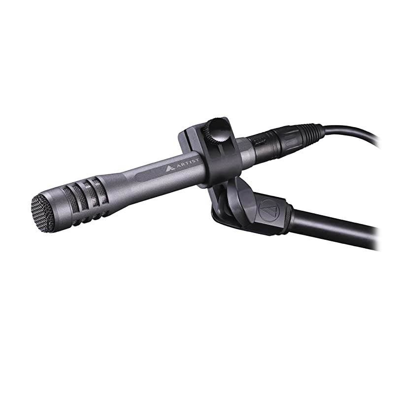 AE5100 Cardioid Condenser Instrument Microphone