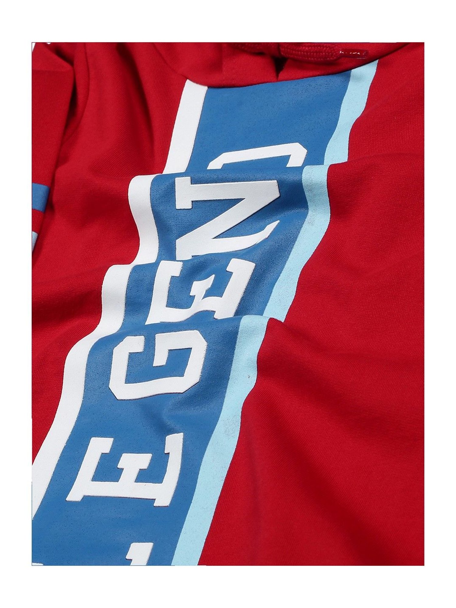 Plum Tree Kids Red Printed  Hoodies