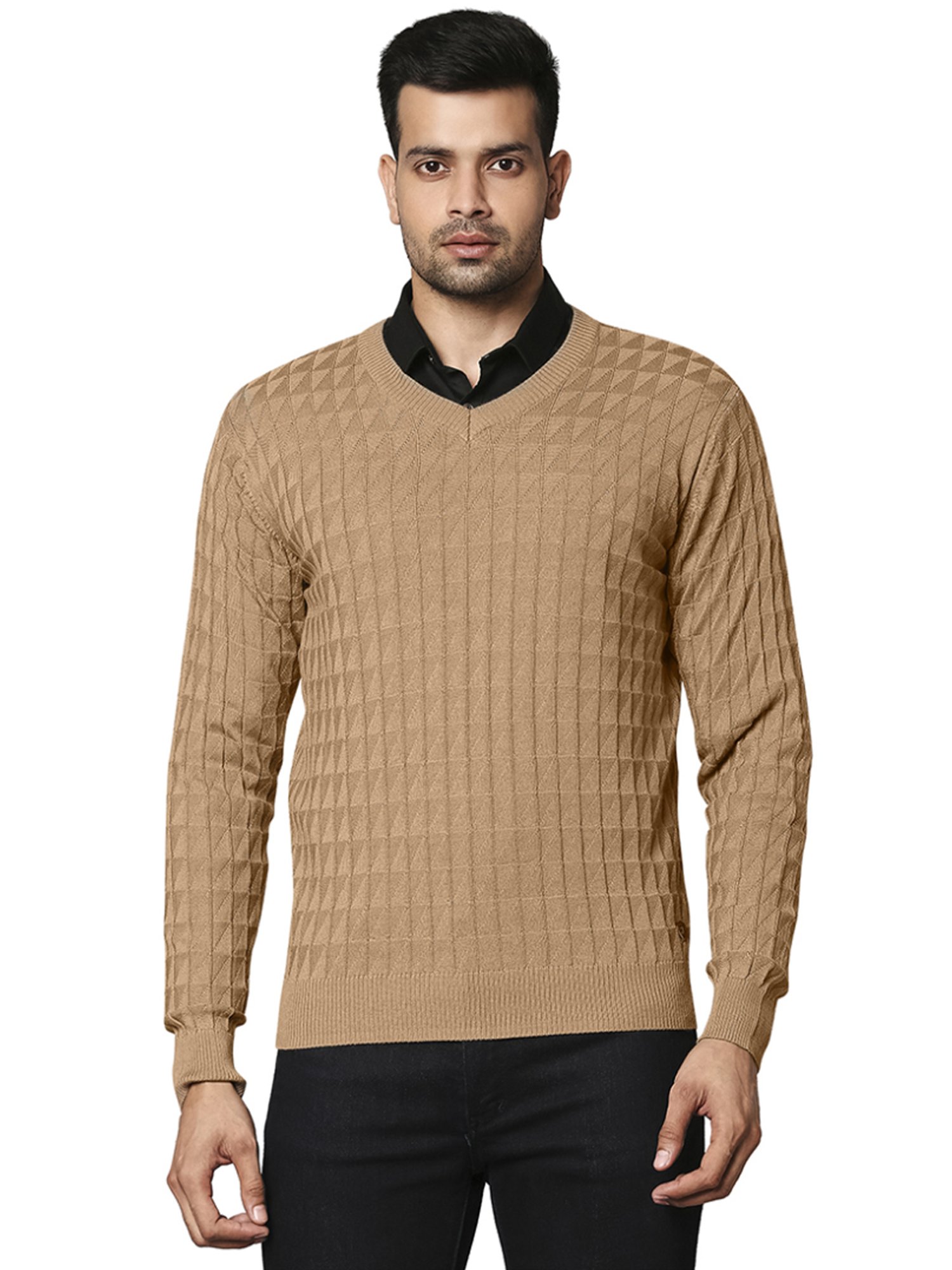 Raymond Beige  Regular Fit Texture Sweaters