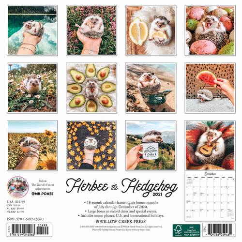 2021 Herbee the Hedgehog Wall