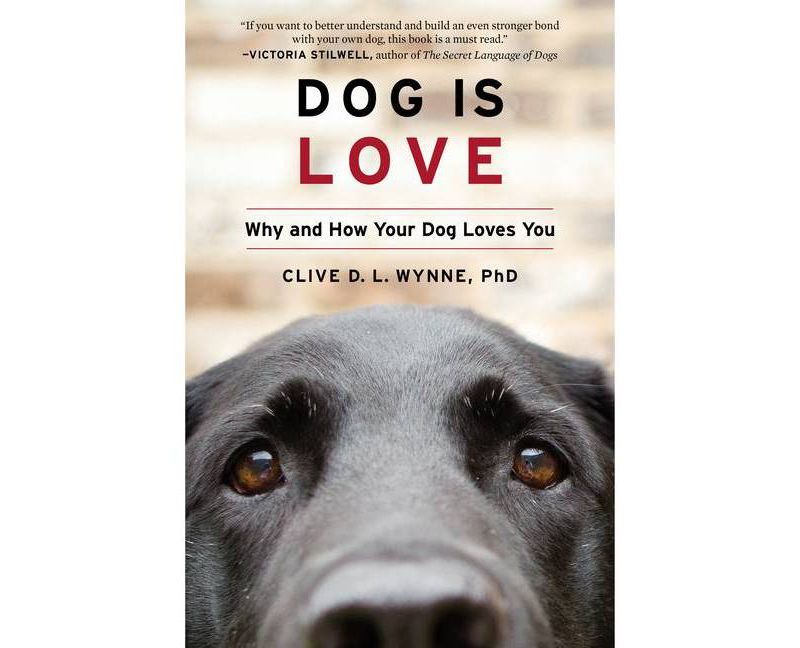 Dog Is Love - by Clive D L Wynne (Paperback)