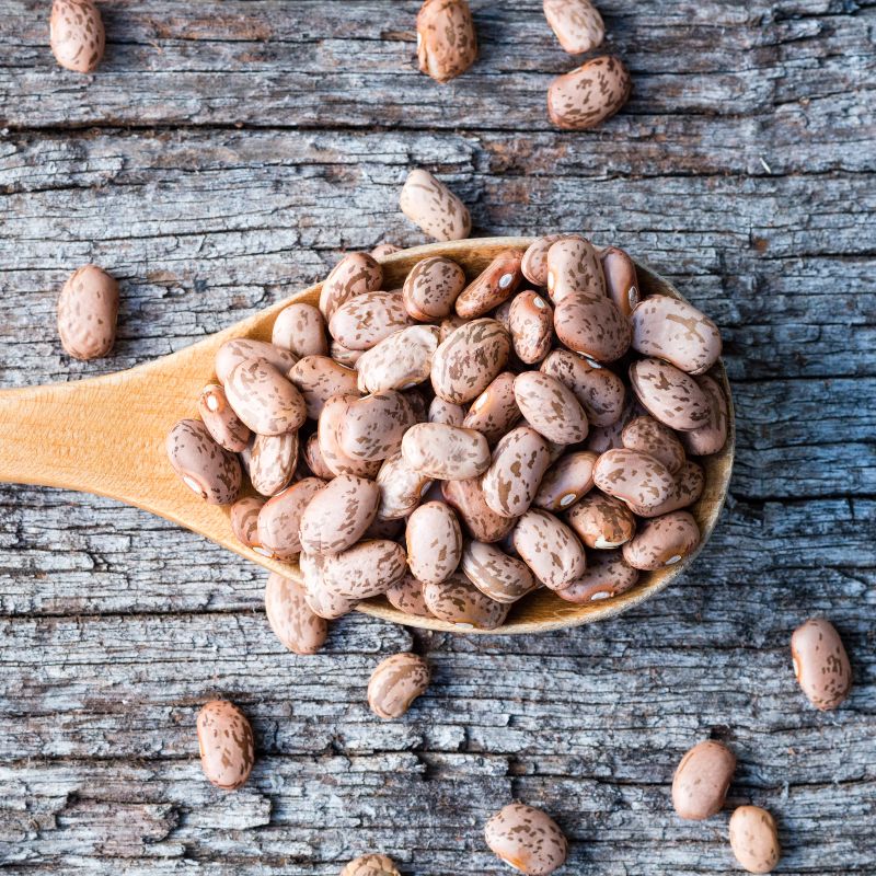 Augason Farms Pinto Beans Emergency Bulk Food Storage 4-Gallon Pail 253 Servings