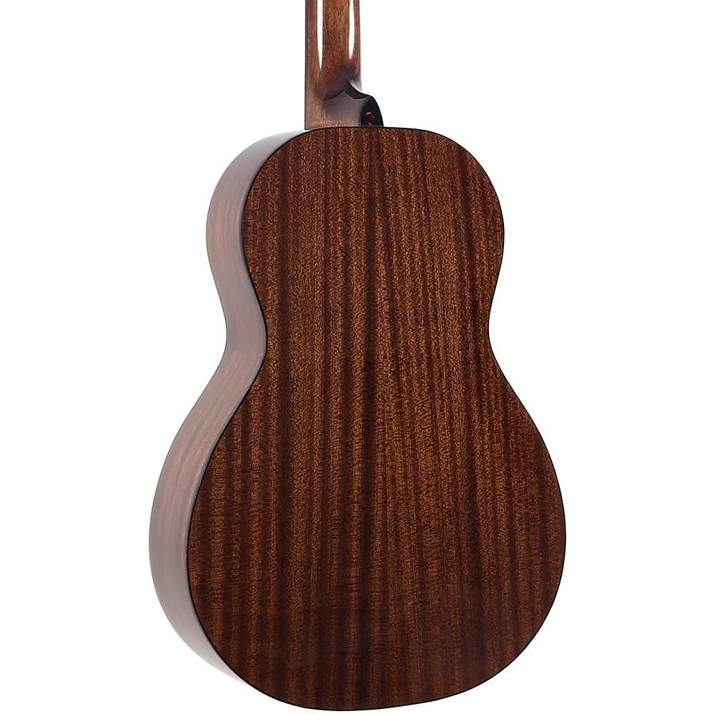 Recording King RP-G6 Solid Top Single O Gloss Natural