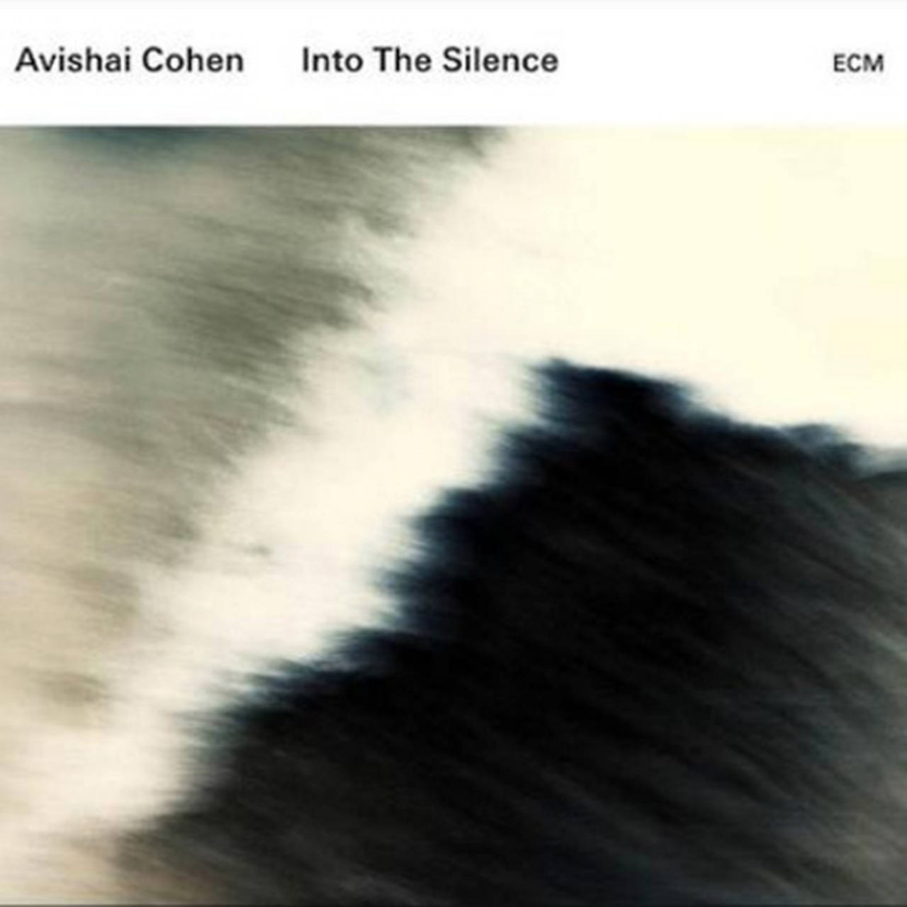 Avishai Cohen Into the Silence 180g 2LP (Vinyl)