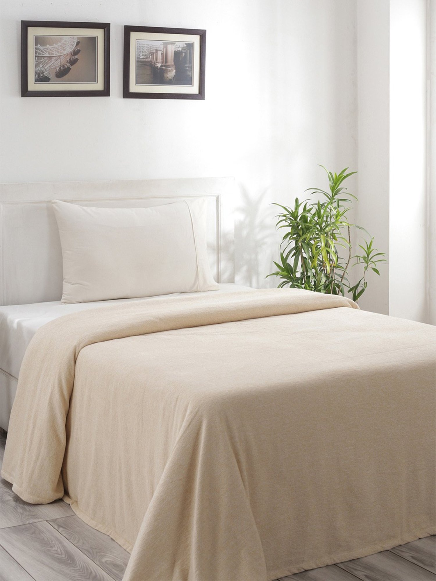 Maspar Colorart Charlotte Solid Beige 110 TC Cotton Blend Single Bed Cover