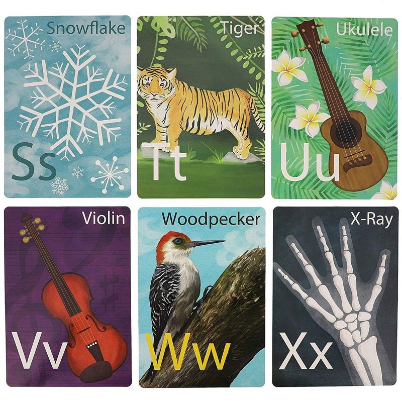 Top Trumps Wildlife Top Trumps Card Game Bundle | Bugs | Predators | North American Wildlife