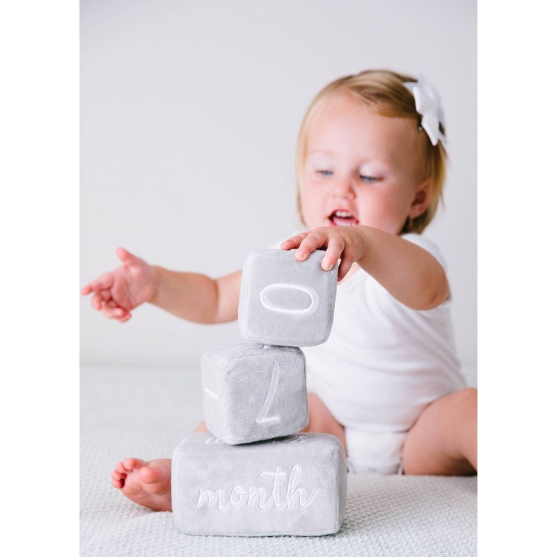 Pearhead Plush Milestone Blocks