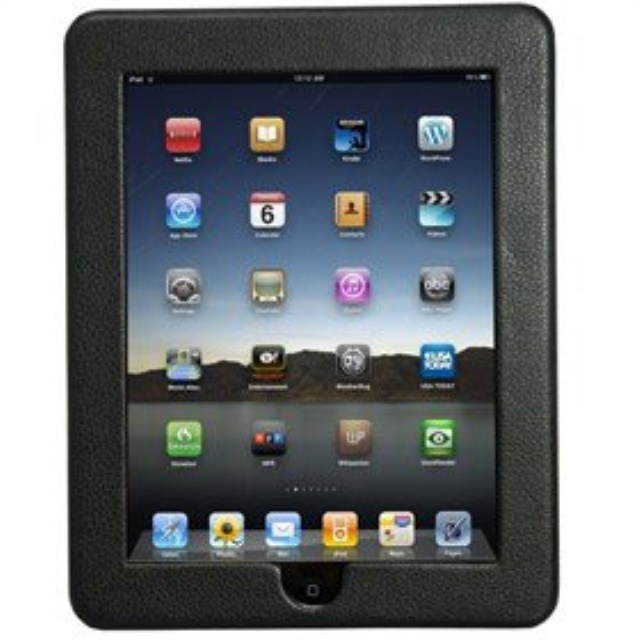 Icon Apple iPad Frame Case