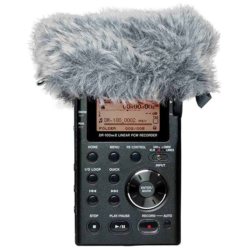 WS11 Windscreen for DRSeries Handheld Recorders