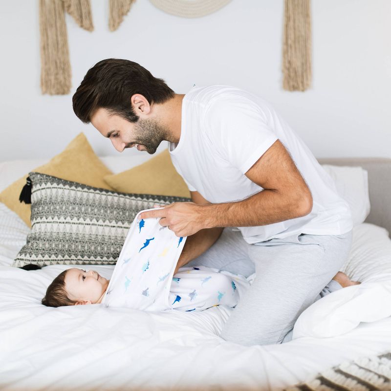 Aden + Anais essentials Wrap Swaddle Blanket - Dino-Rama S 2pk