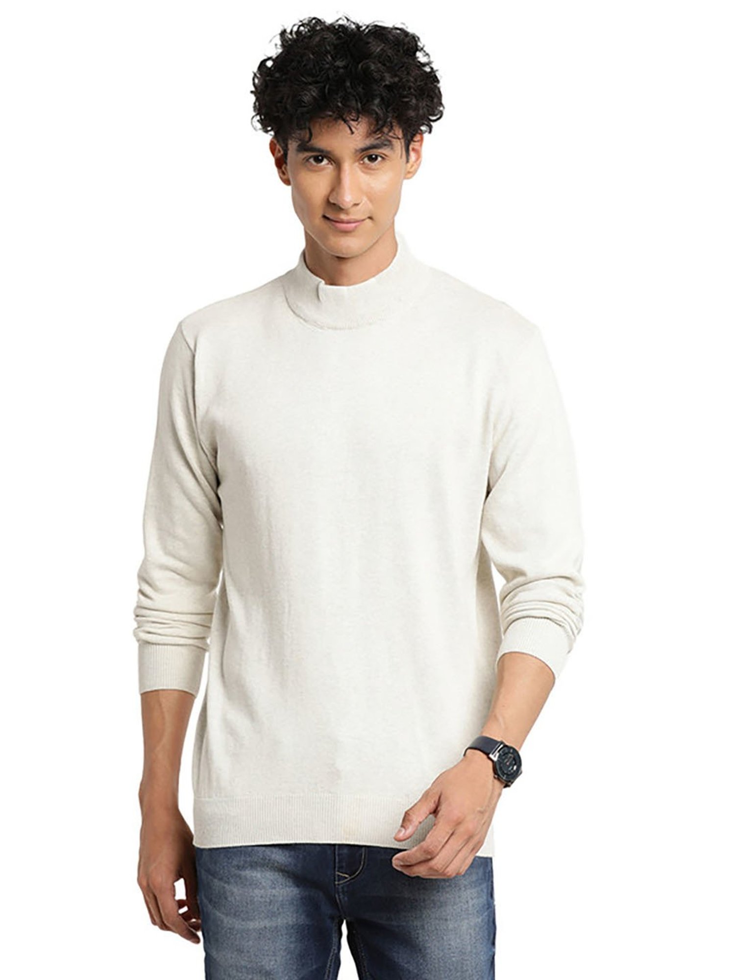 Turtle Beige Cotton Regular Fit Sweater