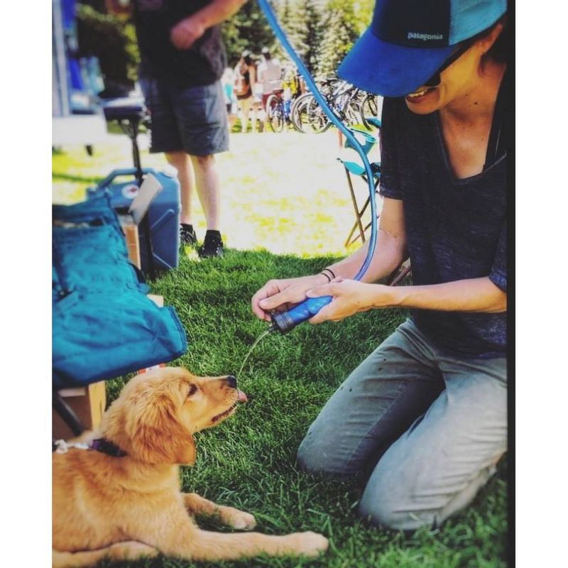 LifeStraw Flex Water Filter with Gravity Bag