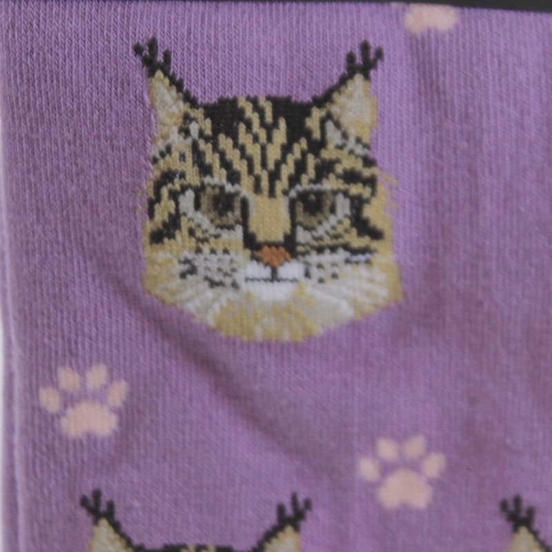Novelty Socks 15.25" Maine Coon Cat Sock Daddy Socks Premium Quality E & S Pet  -  Socks