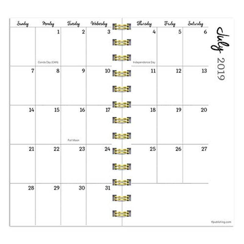 July 2019 - June 2020 Painted Stripes Small Daily Weekly Monthly Planner