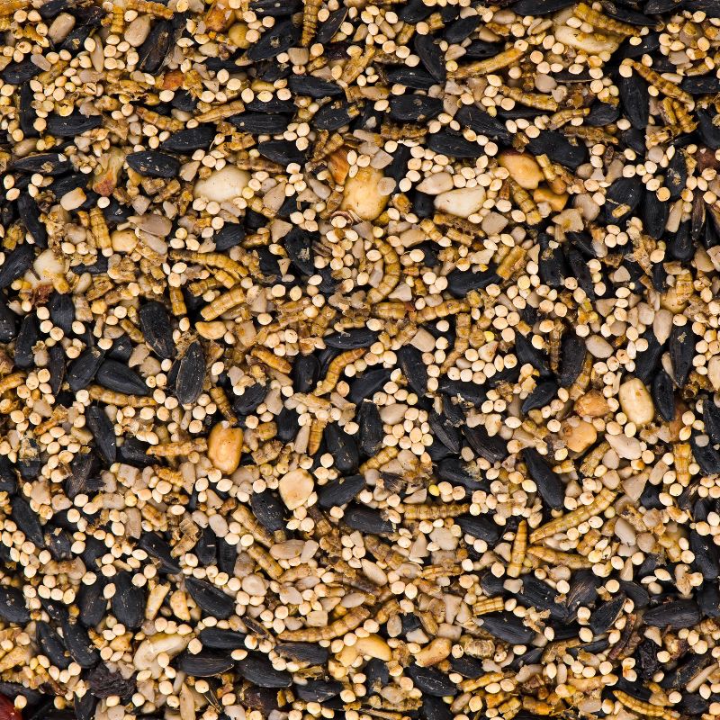 KAYTEE Trail Mix Cake Bird and Wildlife Food - 1.85lb