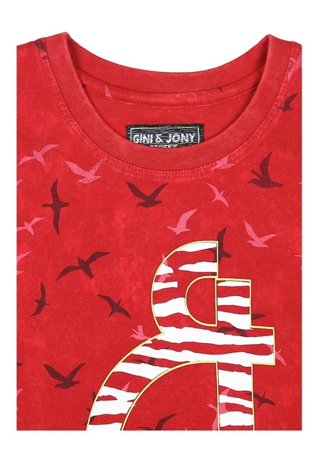 Gini & Jony Boys Red Printed T-Shirt