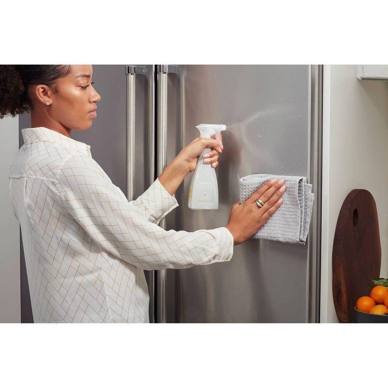 Method Stainless Steel Clean and Polish - 14 fl oz