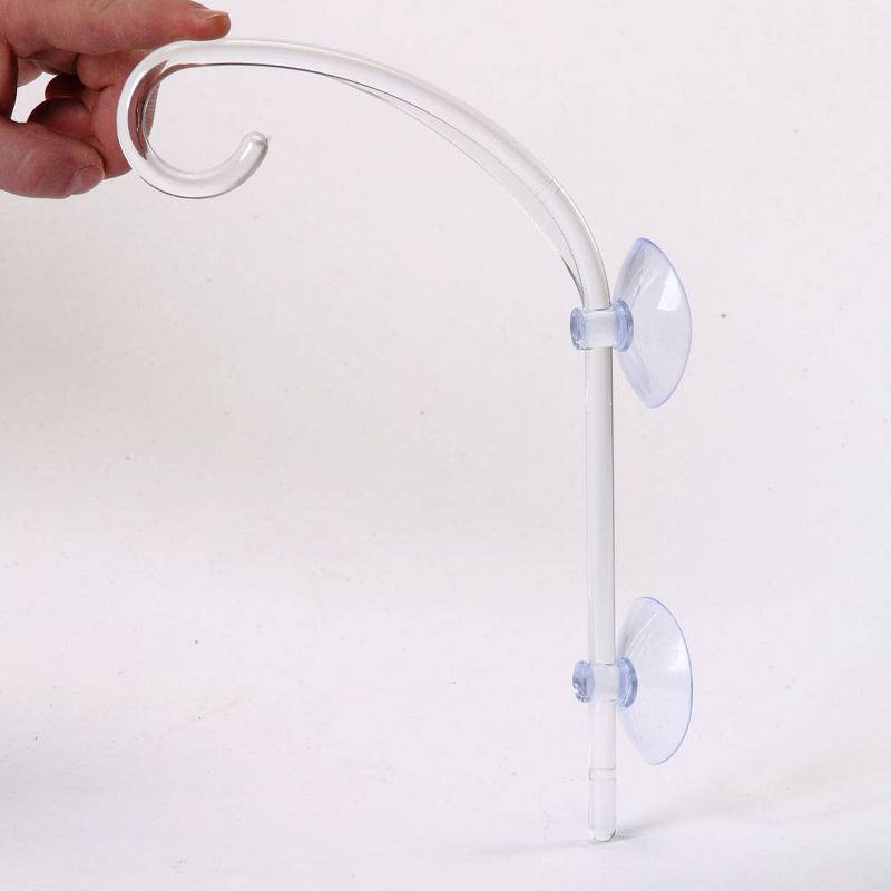 Birds Choice The Great Hangup