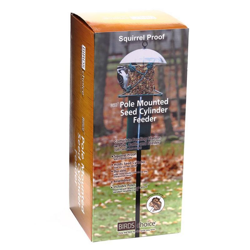 Fruit Feeder - ANCIENT GRAFFITI