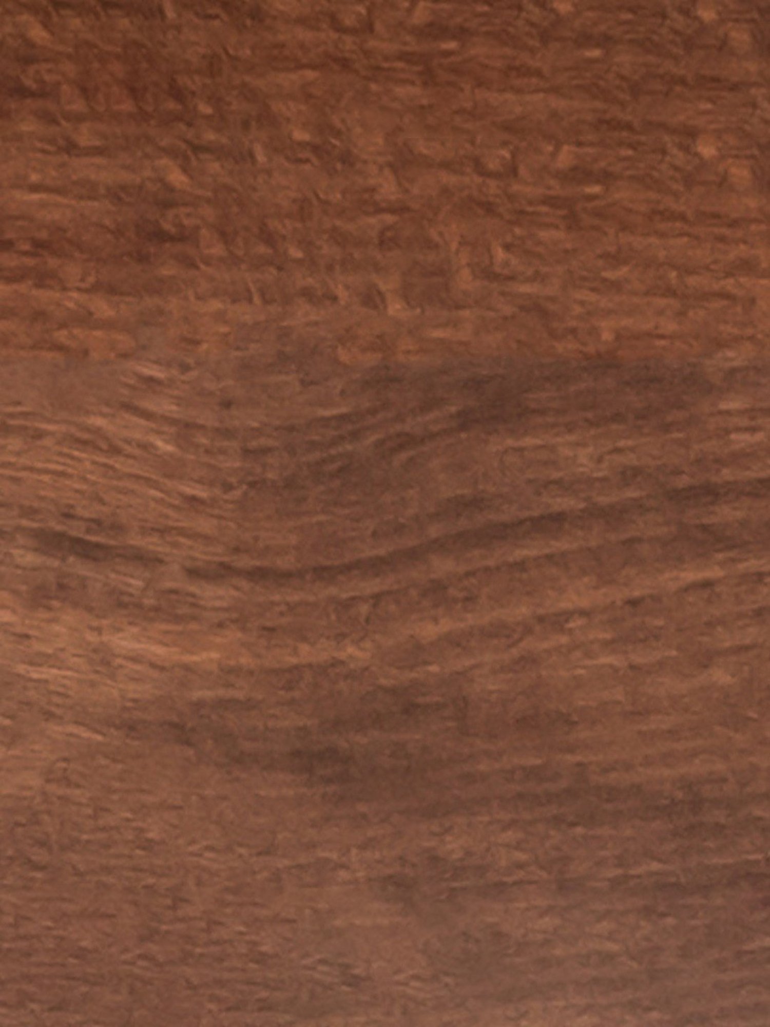 Durian Cameron Walnut Brown Solid Wood Side & End Table in Walnut Finish