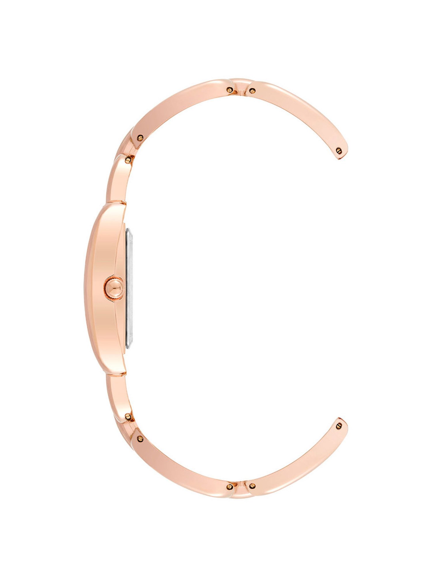 Anne Klein AK4094RGRG Analog Watch for Women