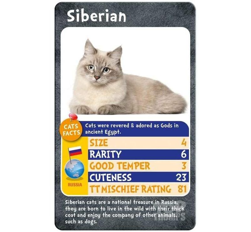 Top Trumps Cats Top Trumps Card Game
