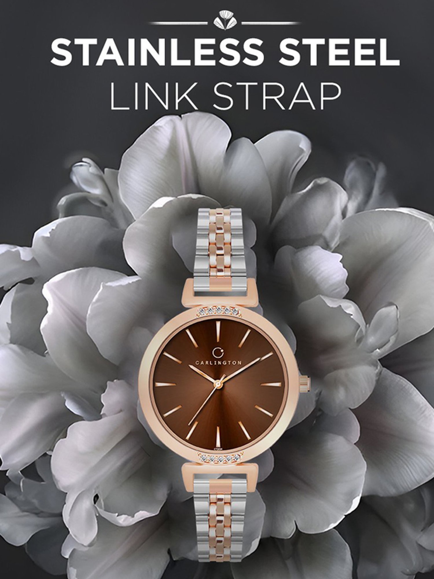 Carlington Iconic 2034Two Tone Brown Analog Watch for Women