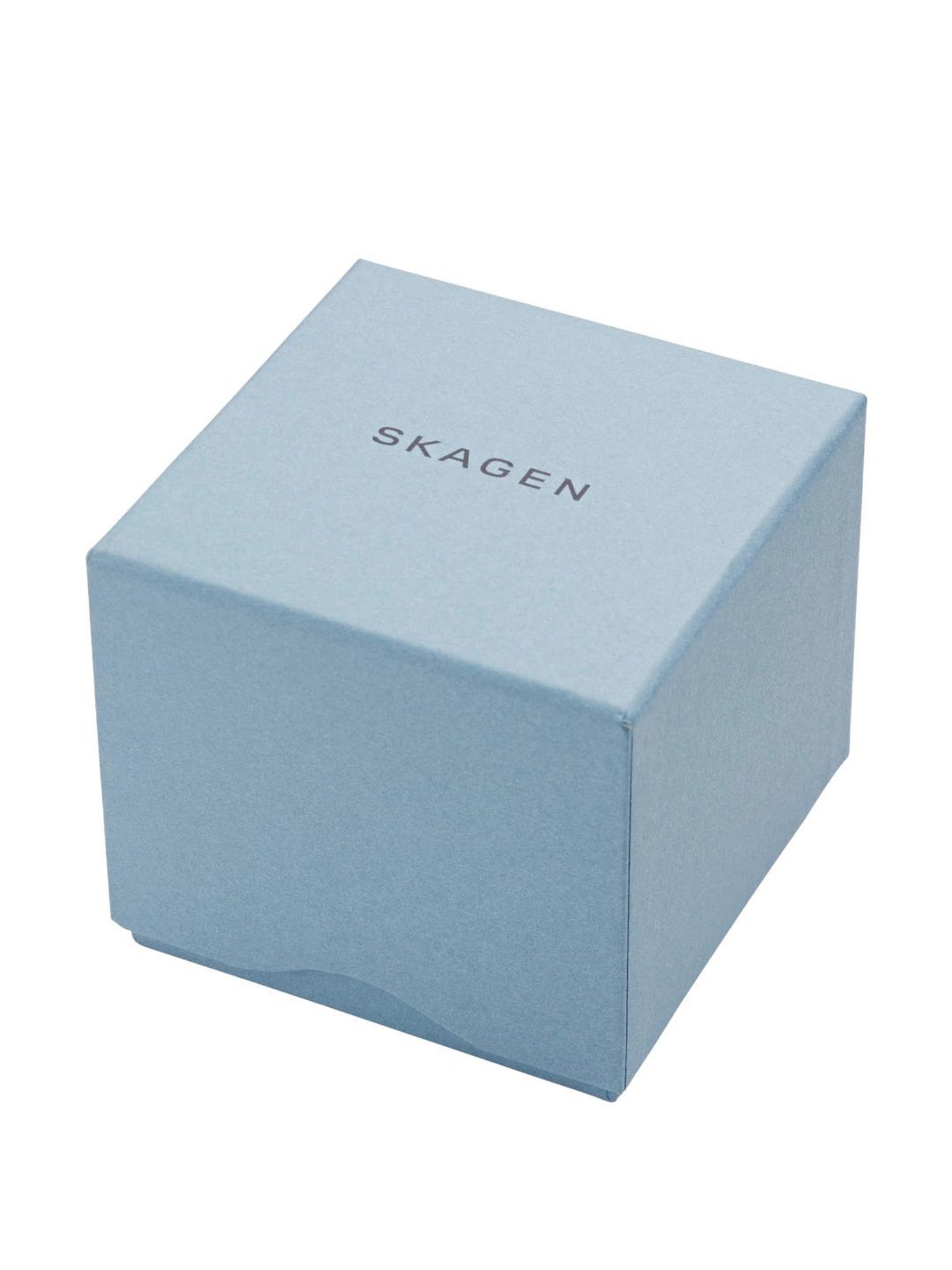 Skagen SKW6608 Holst Chronograph Analog Watch for Men