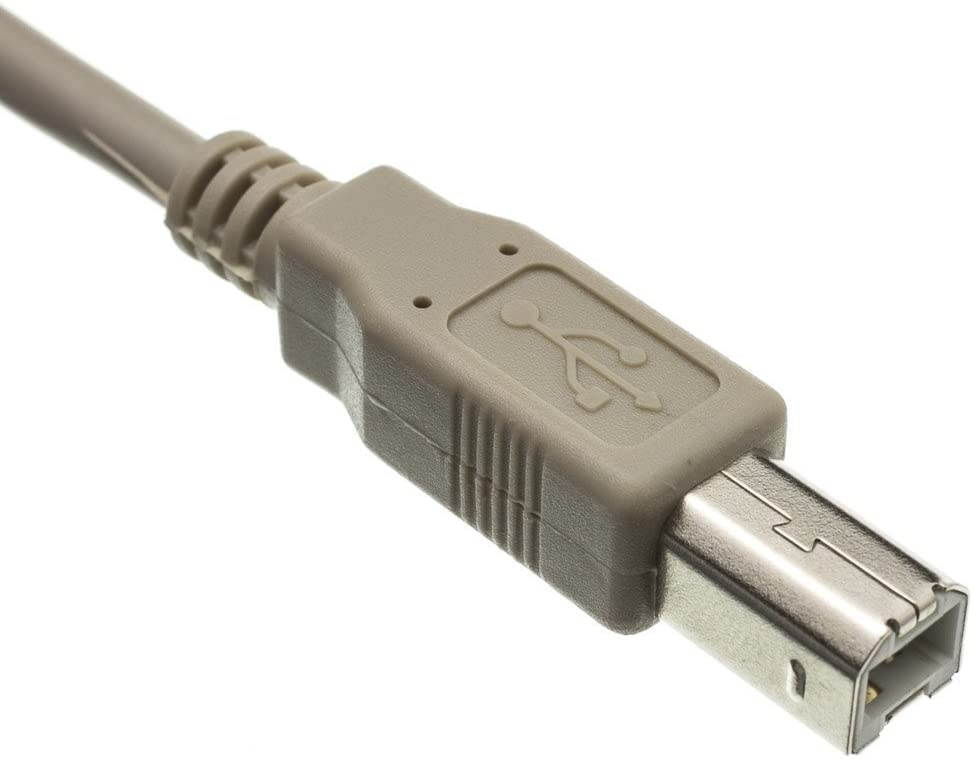 25 Foot USB 2.0 High Speed Printer/Scanner Cable - Beige