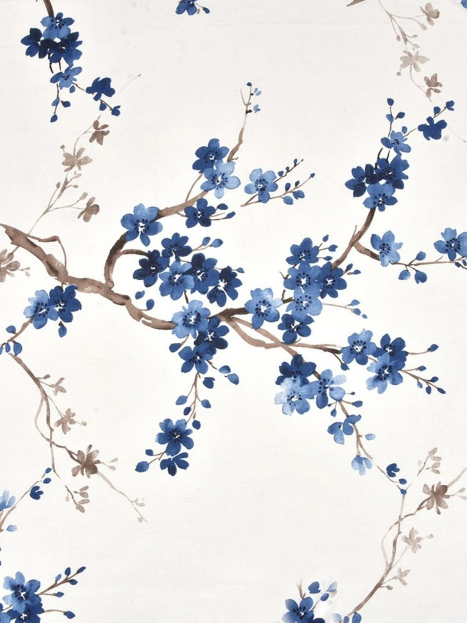 Haus & Kinder Floral Grace Printed Blue 186 TC Cotton Bed Sheet with 2 Pillow Covers