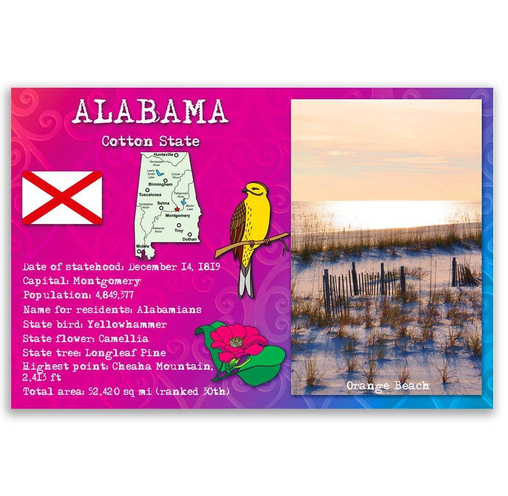ALABAMA STATE FACTS postcard set of 20 identical postcards. Post cards with AL facts and state symbols. Made in USA.