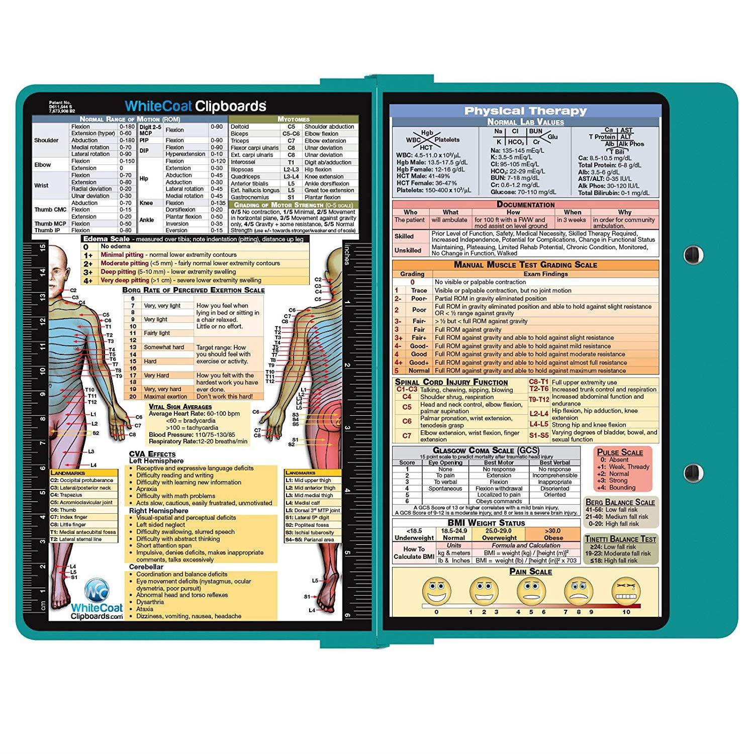 WhiteCoat Clipboard - TEAL - Physical Therapy Edition
