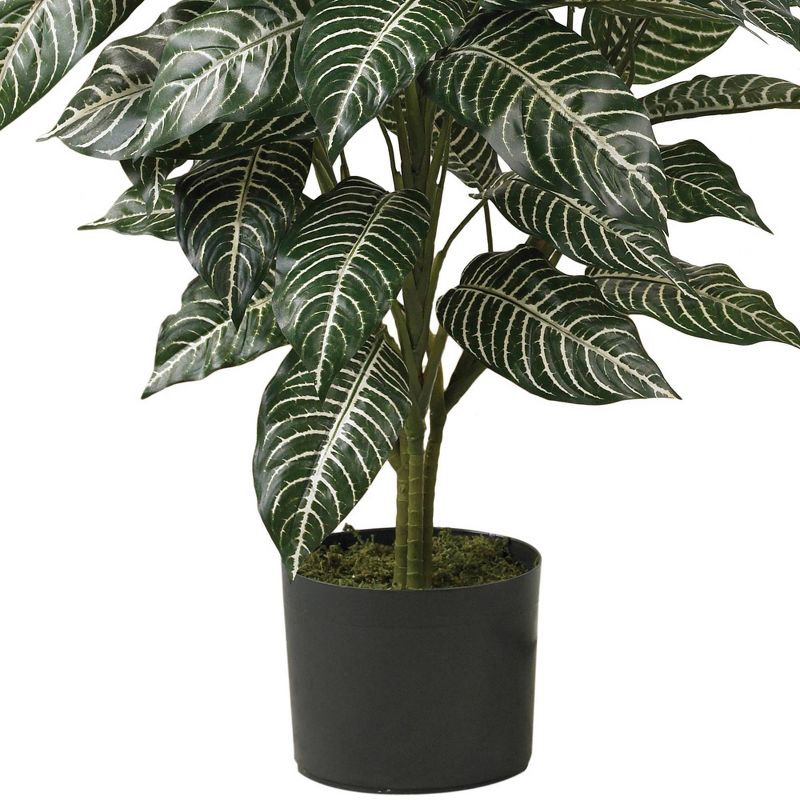36" x 20" Artificial Zebra Silk Plant in Wicker Pot - Nearly Natural