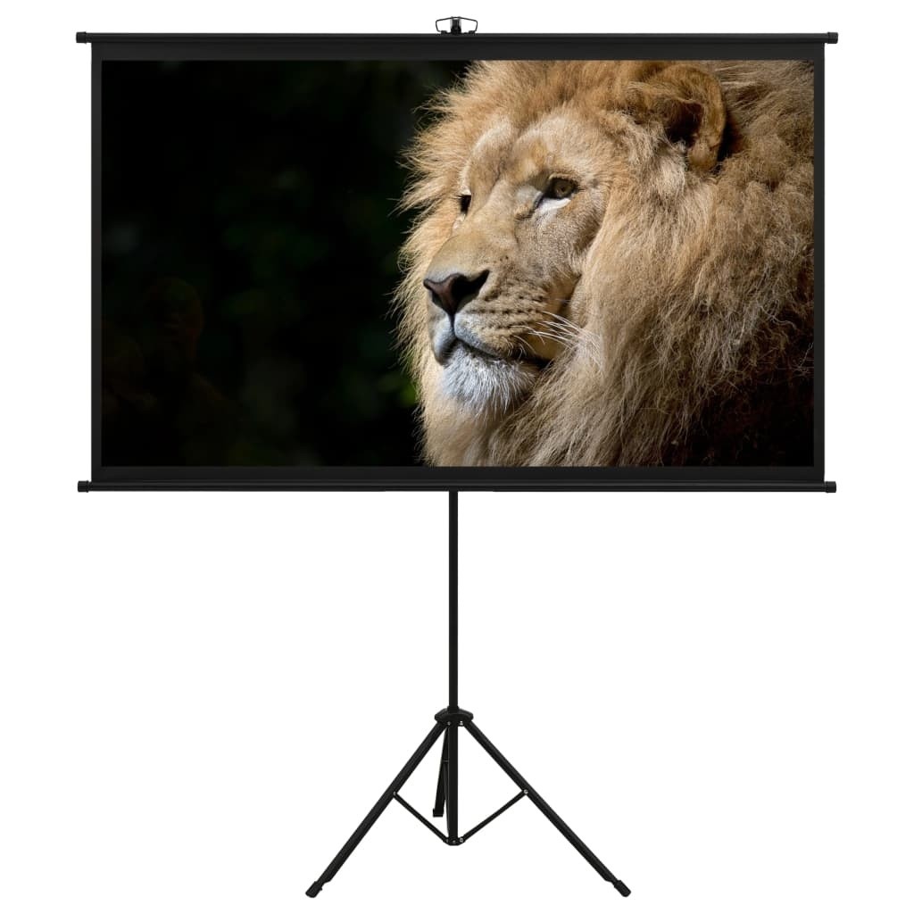 vidaXL Projection Screen with Tripod 50" 16:9 Home Theater Screen Presentation
