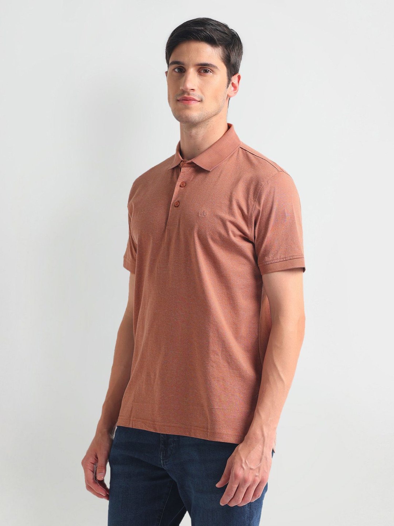 Arrow Brown Cotton Regular Fit Striped Polo T-Shirt
