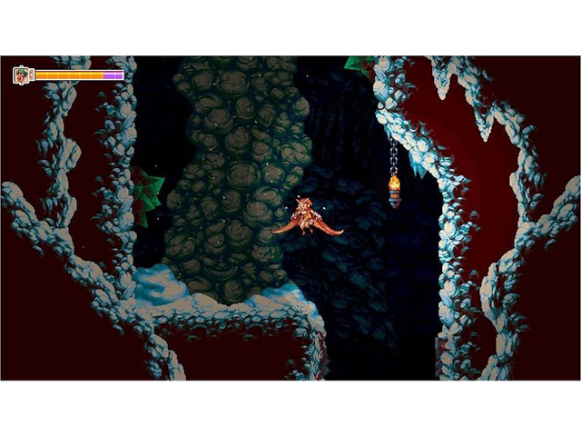 Owlboy Limited Edition - PlayStation 4